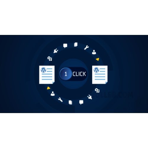 All-in-One WP Migration Unlimited Extension